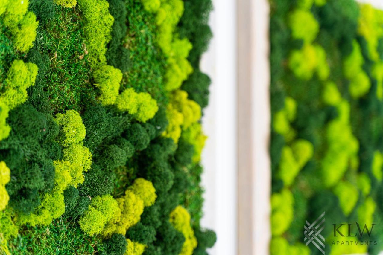 Klw Apartments Garden Centrum - Klimatyzacja 슈체친 외부 사진
